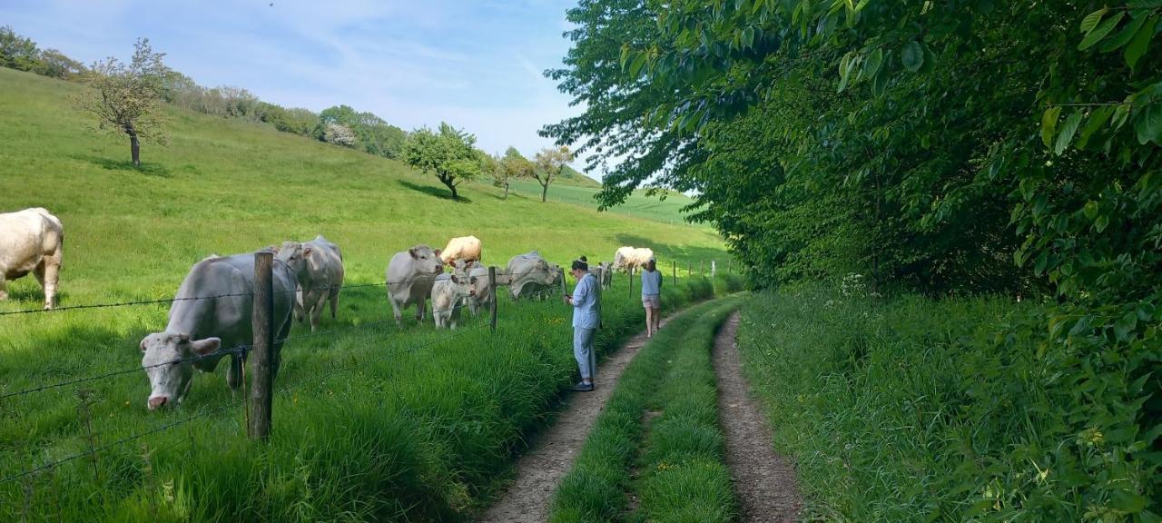 La Croisee Des Chemins 阿尔克拉巴泰勒 外观 照片