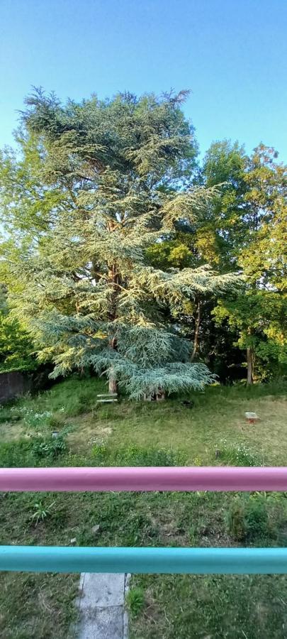 La Croisee Des Chemins 阿尔克拉巴泰勒 外观 照片